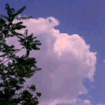 上古奇迹果盘客户端下载